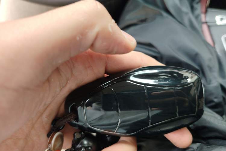 Used Hongqi H5 2024 2.0T Automatic Smart Connect Flagship Edition
