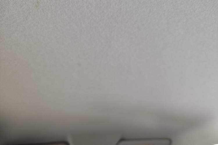 Used Leapmotor T03 2021 400 Micro-Sugar Version Headliner