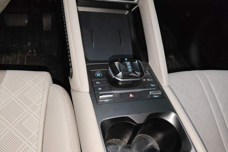 Used BYD Yuan UP 2024 401KM Leading Edition
