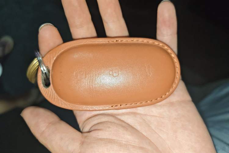 Used Li Auto L9 2022 Max model
