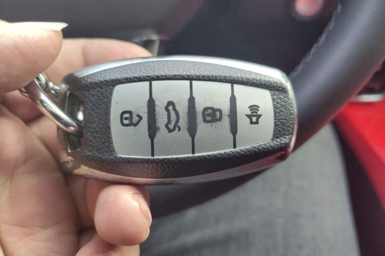 Used Haval DARGO 2021 2.0T DCT 4x4 Chinese Rural Dog Edition