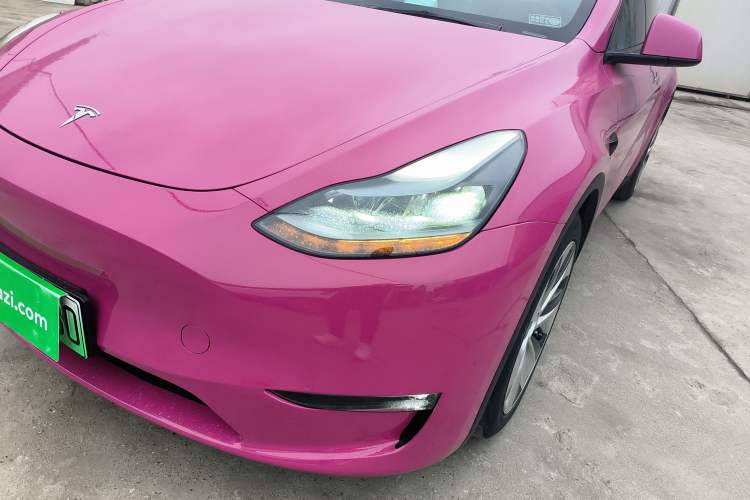 Used Tesla Model Y 2021 Standard Range Rear-Wheel Drive Version
