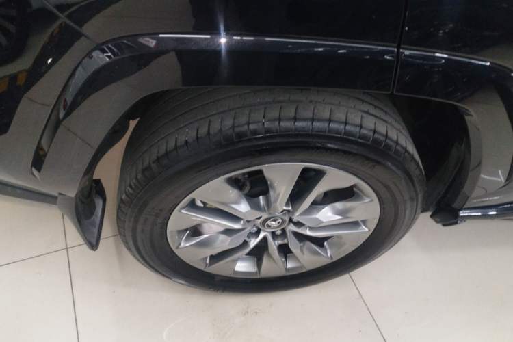 Used Toyota Wildlander 2024 2.0L CVT Two-Wheel Drive Urban Edition
