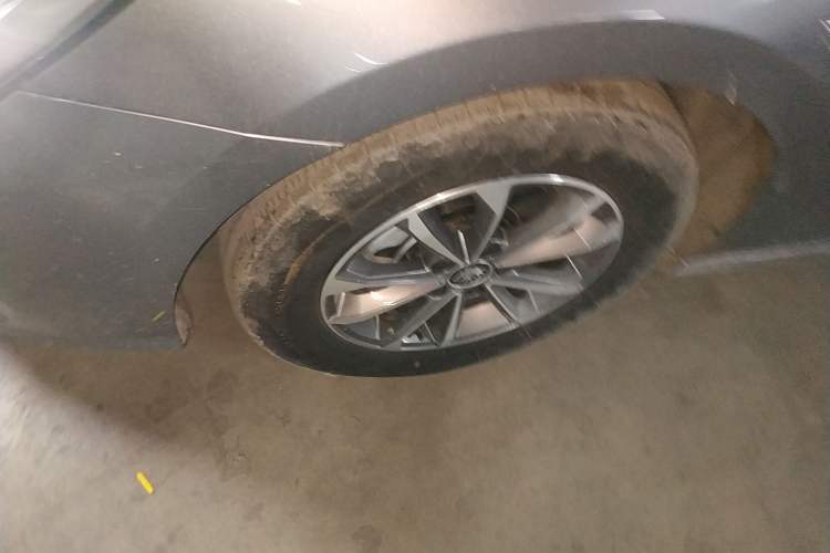 Used BYD Qin PLUS 2023 Champion Edition DM-i 55KM Leading Model
