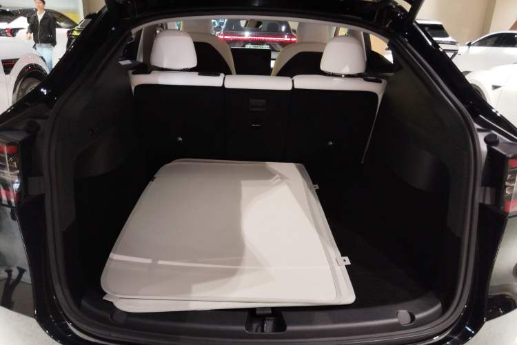 Used Tesla Model Y 2021 Standard Range Rear-Wheel Drive Version
