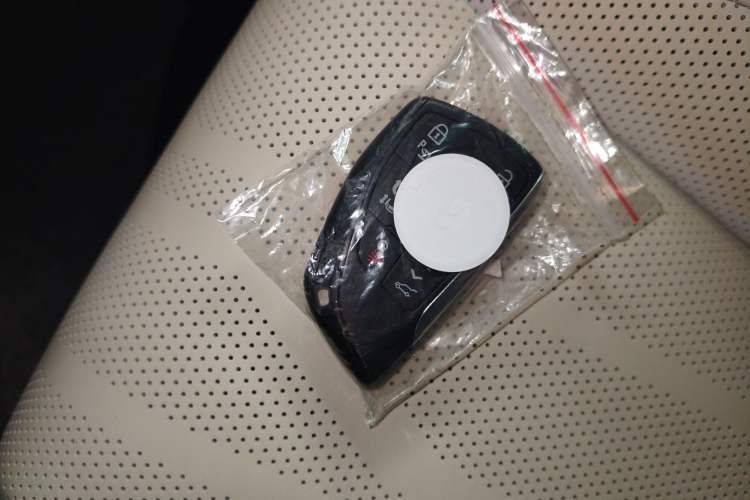 Used Buick Century 2023 2.0T Six-Seater Yinshi Edition