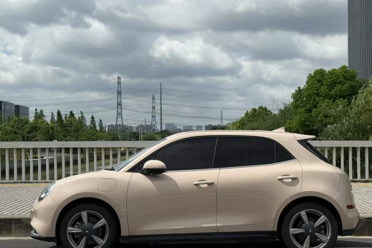 Used ORA Good Cat 2023 401 km Standard Range Premium Version Lithium Iron Phosphate
