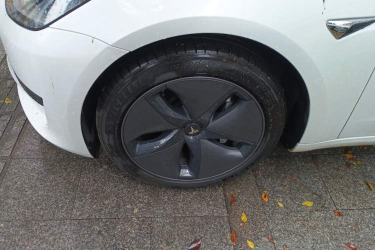 Used Tesla Model 3 2020 Standard Range Rear-Wheel Drive Upgraded Version