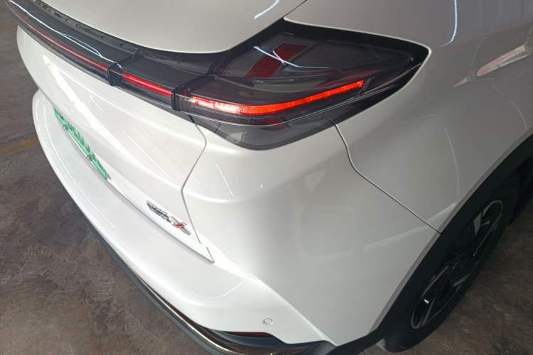 Used NETA X 2024 500 First Edition