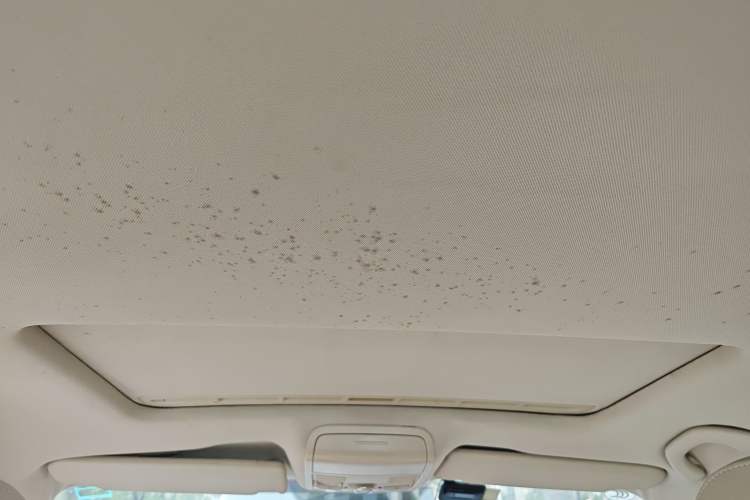 Used Volkswagen Sagitar 2012 1.6L Automatic Comfort Edition Headliner