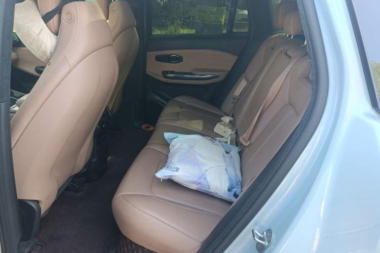 Used Nio ES6 2019 430 km Performance Version Left Rear Seat