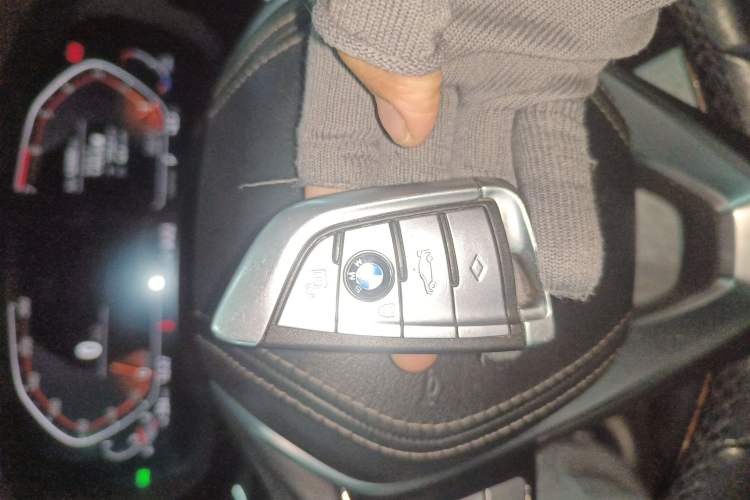 Used BMW 5 Series 2020 530Li Leading Edition Luxury Package
