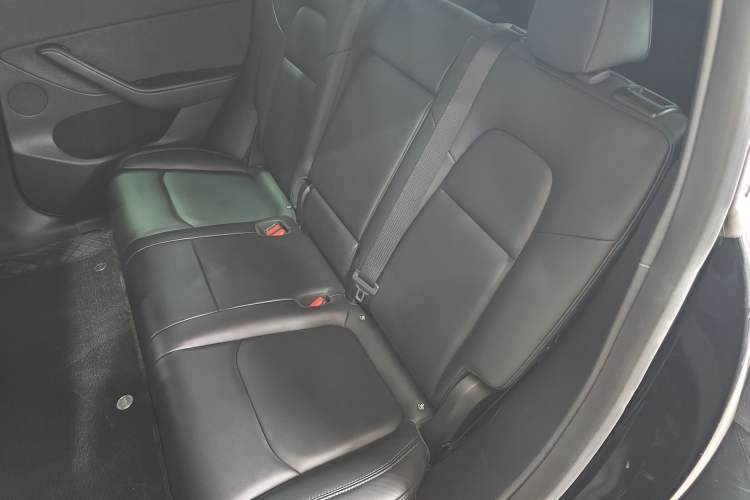 Used Tesla Model Y 2021 Standard Range Rear-Wheel Drive Version
