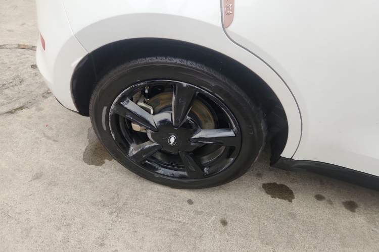 Used ORA Good Cat 2024 401 km Luxury Version