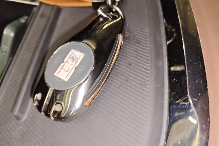 Used Leapmotor C11 2021 Performance Edition