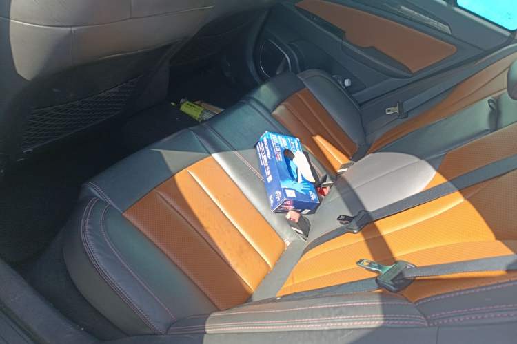 Used BYD Qin New Energy 2017 Qin 1.5T 100 Left Rear Seat