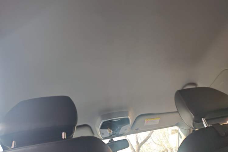 Used Denza 2014 Deluxe Edition Headliner