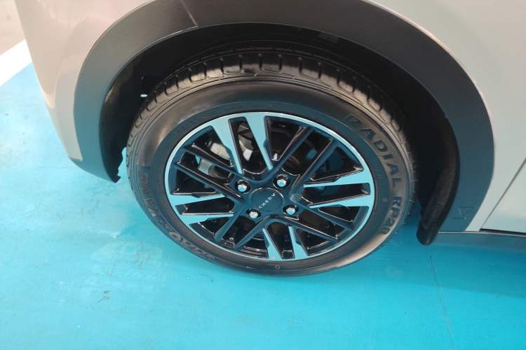 Used Chery Little Ant 2023 251km True Love Edition Lithium Iron Phosphate