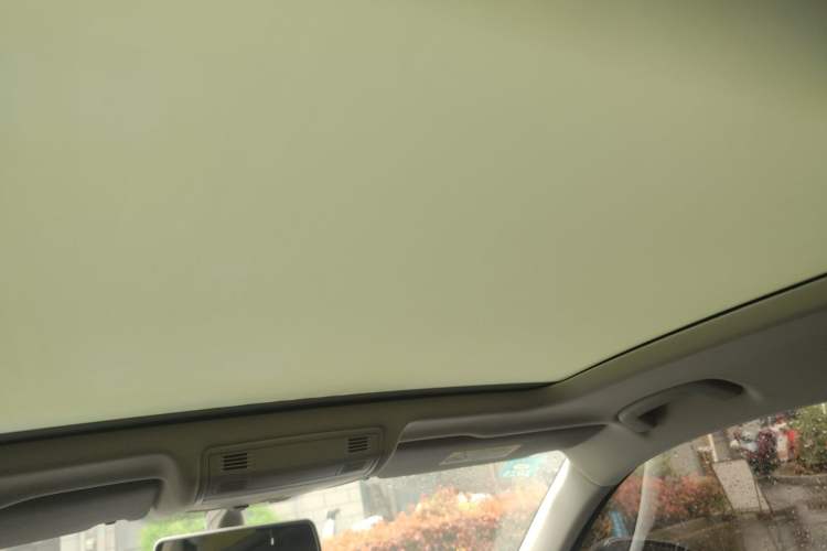 Used Volkswagen Tayron 2019 330TSI Two-Wheel Drive Luxury Model China VI Standard Headliner