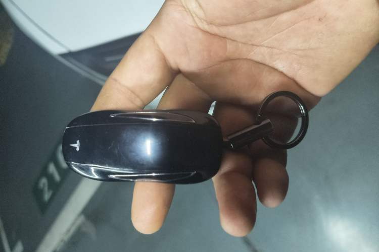 Used Tesla Model X 2017 X 100D Long Range Edition