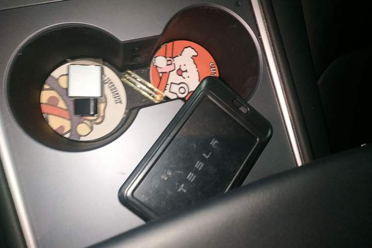 Used Tesla Model 3 2022 Rear-Wheel-Drive Version