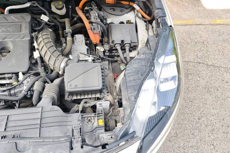 Used Ford Escape New Energy 2021 PHEV model