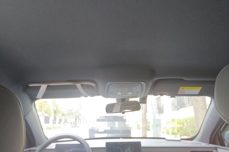 Used BYD Qin PLUS  Headliner