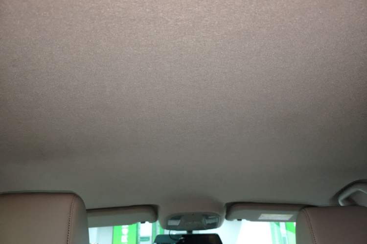 Used BYD Yuan Pro 2021 "Love for a Lifetime" Edition Headliner