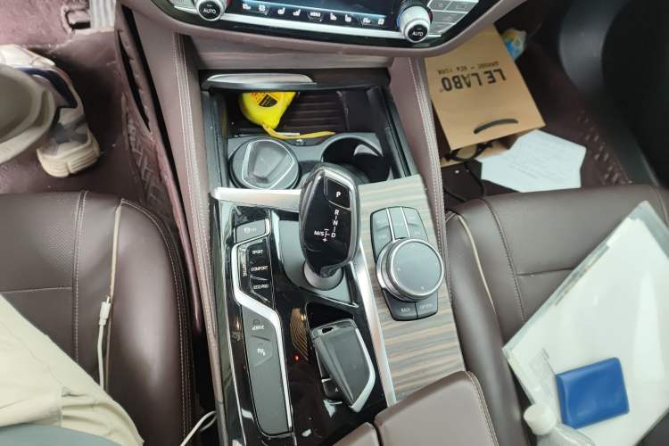 Used BMW 5 Series New Energy 2019 530Le Luxury Package
