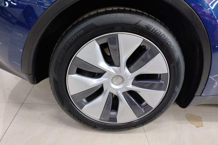 Used Tesla Model Y 2021 Standard Range Rear-Wheel Drive Version Exterior 8