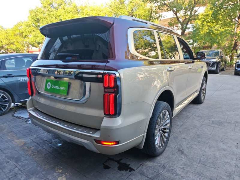 Used Tank 500 2022 3.0T High-End Custom Edition 5 Seats — 6