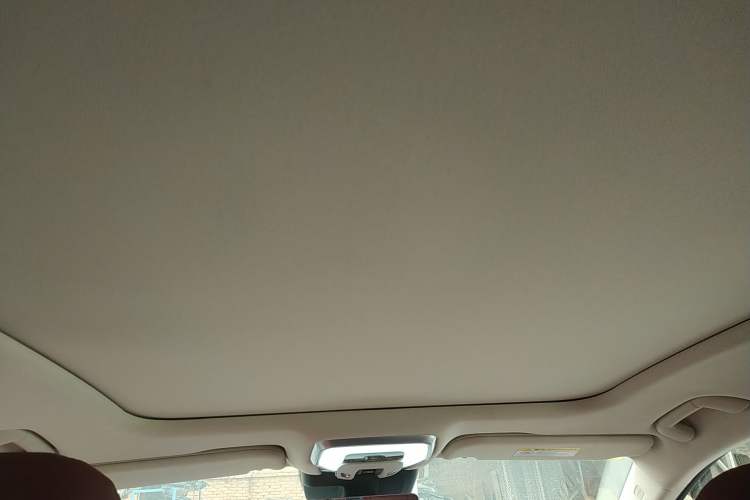 Used Hongqi H5 2025 2.0T Automatic Flag Edition – 500 000 Units Commemorative Version Headliner