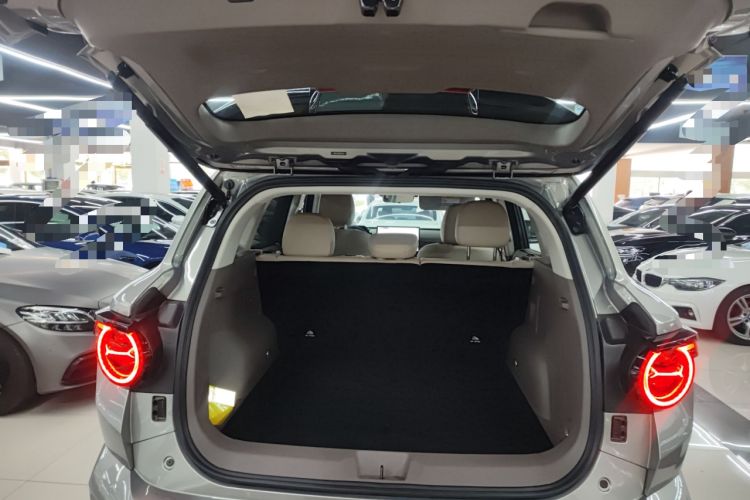 Used Haval H Dog 2026 Model 2.0T Trendy Wilderness Edition