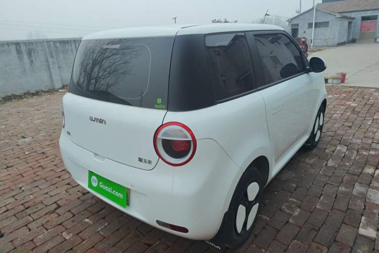Used Qiyuan Lumin 2024 130km Qingyue Version