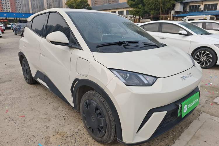 Used BYD Seagull 2023 Active Version
