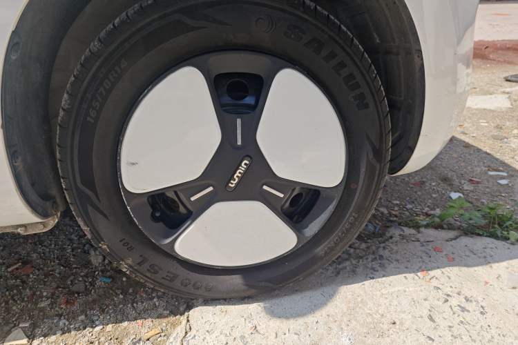 Used Qiyuan Lumin 2023 205km Xiangqin Version