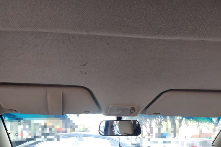 Used Wuling Hongguang 2015 1.5L S Base Model China IV Headliner