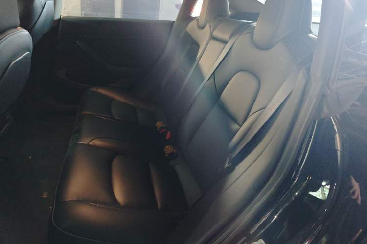 Used Tesla Model 3 2022 Rear-Wheel-Drive Version Left Rear Seat