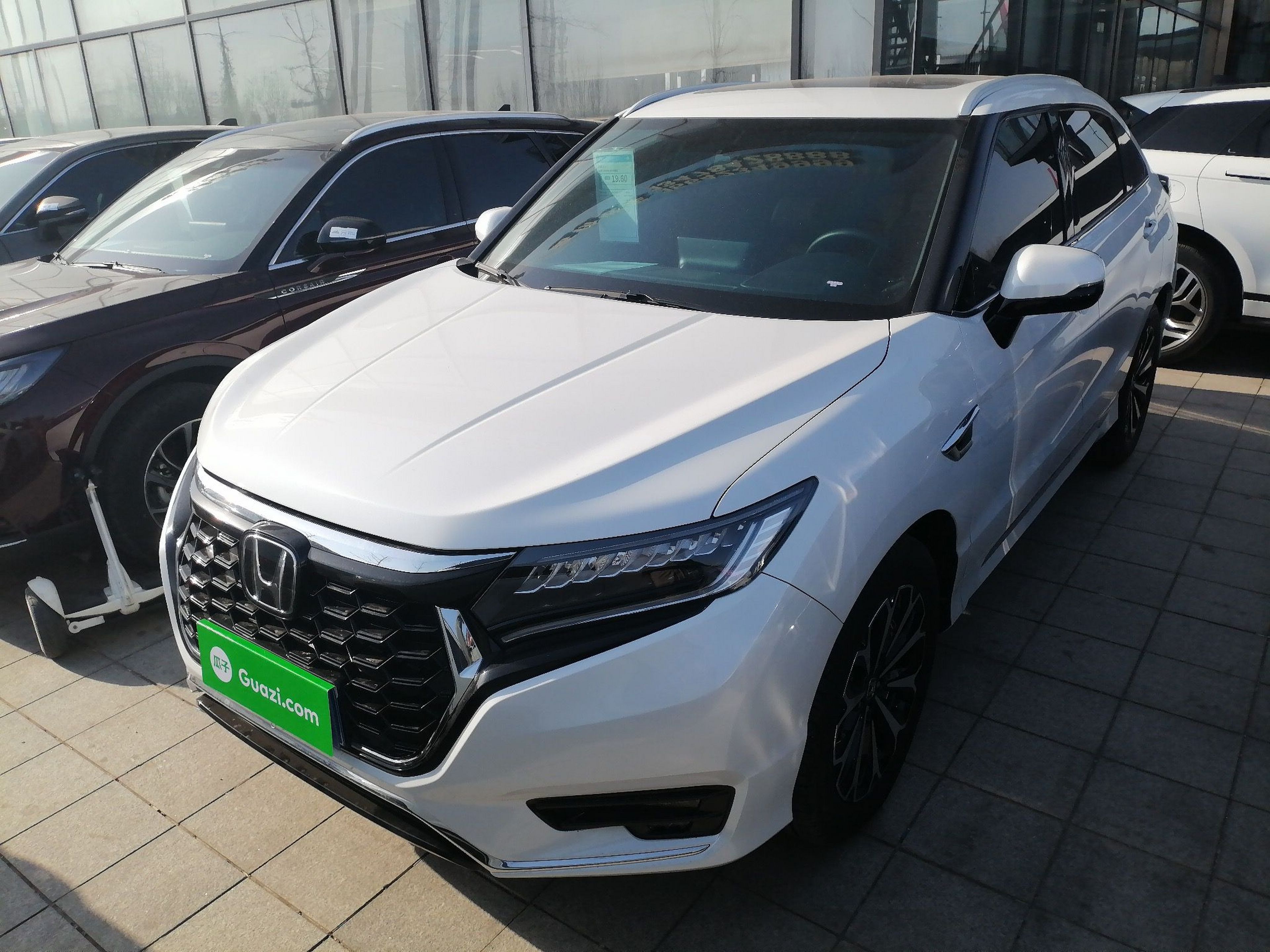Under Front Bumper