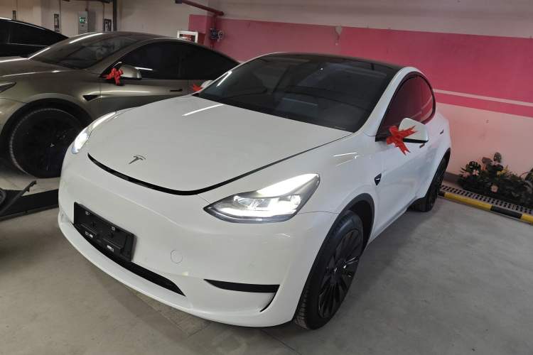 Used Tesla Model Y 2022 Rear-Wheel-Drive Version