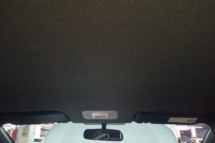 Used AION Y 2022 70 Enjoyment Edition Lithium Iron Phosphate