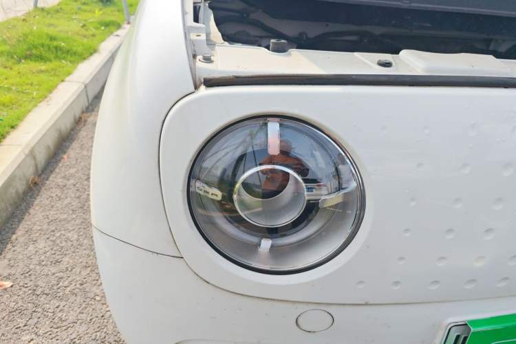 Used ORA Black Cat 2021 351 km Luxury Version
