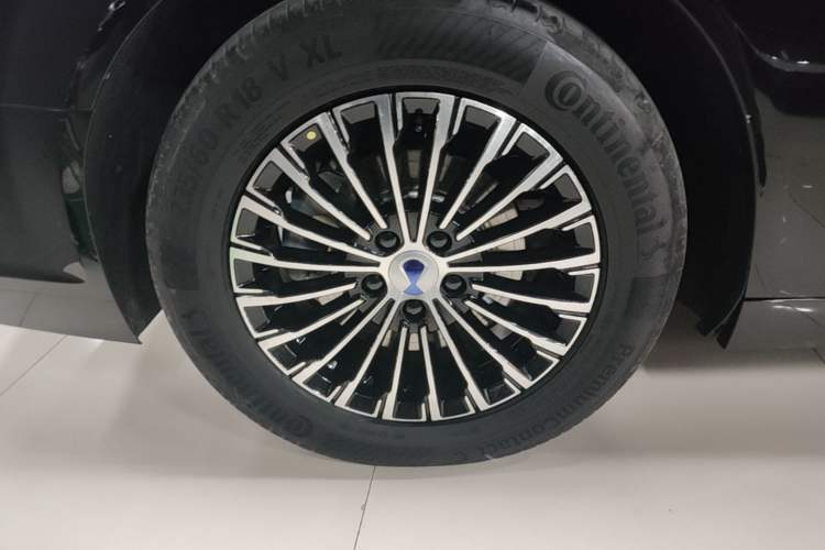 Used Denza D9 2022 DM-i 970 Four-Wheel Drive Prestige Model
