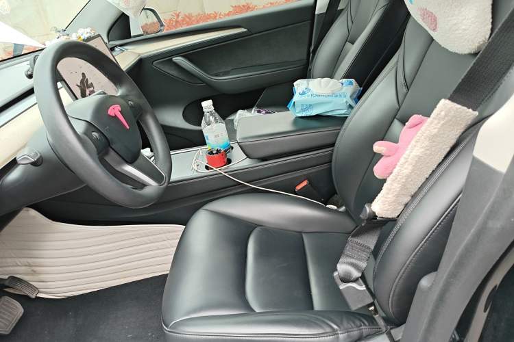 Used Tesla Model Y 2021 Long-Range All-Wheel-Drive Version 3D7