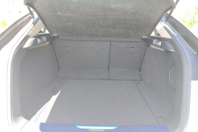 Used Honda Avancier 2017 370TURBO 2WD Luxury Edition
