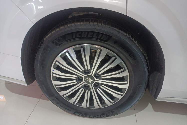 Used BYD Xia 2025 DM-i 1.5T 180km Excellence Model