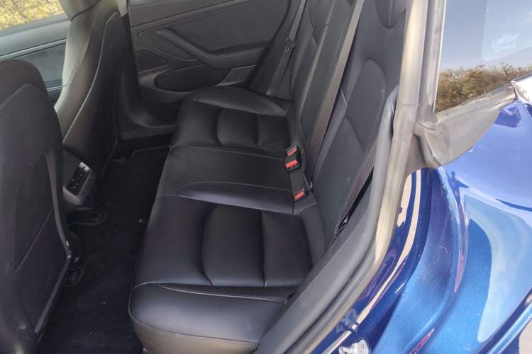 Used Tesla Model 3 2020 Standard Range Rear-Wheel Drive Upgraded Version