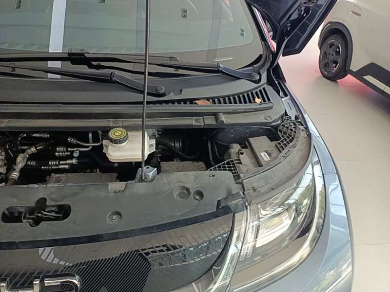 Used BYD Dolphin 2024 Honor Edition 420km Fashion Version — 23