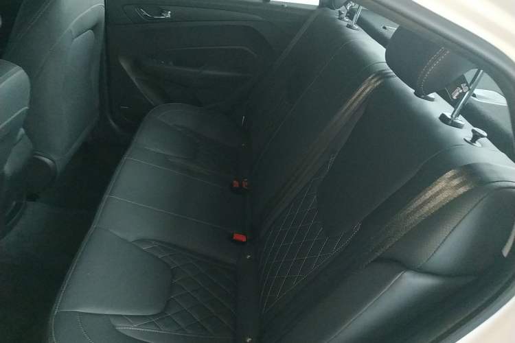 Used SINOGOLD Junxing 2023 Standard Model Left Rear Seat