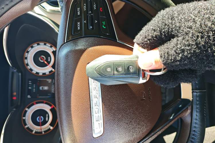 Used Leopaard CS9 2018 1.5T CVT Jinglang Model
